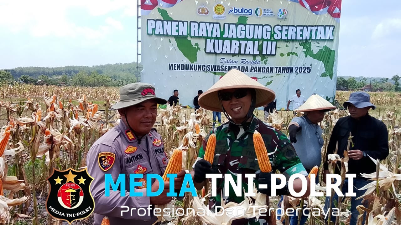 Forkopimda Boyolali Gelar Panen Raya Jagung Serentak, Dorong Ketahanan Pangan Daerah