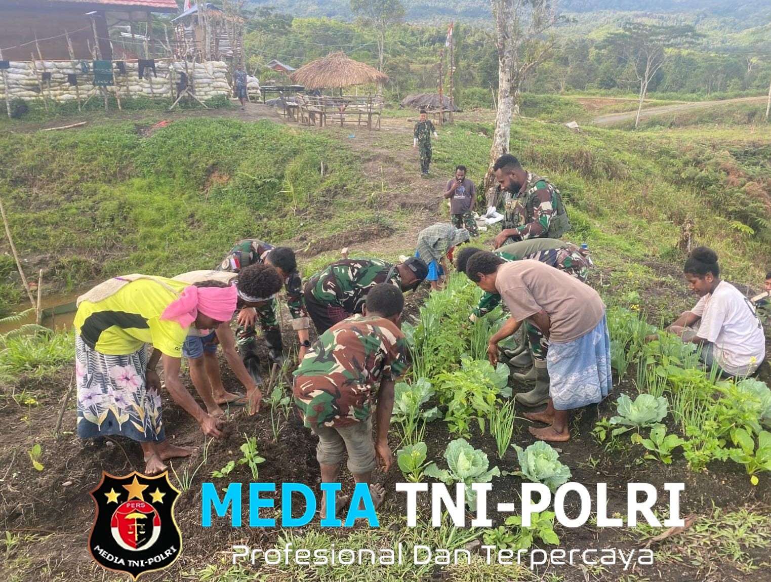 Pos Parim Giatkan Ketahanan Pangan Bersama Warga, Tanam Sayur untuk Kesejahteraan Bersama