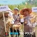 Polres Tanggamus Gelar Panen Jagung Kuartal III, Dihadiri Bupati dan Forkopimda