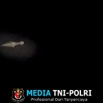 Buaya Incar Ternak Warga di Desa Pantai Harapan Kotim