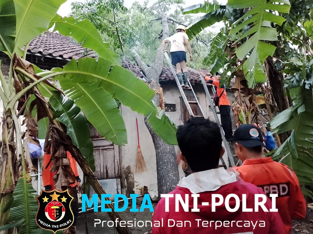 Hujan Deras Disertai Angin Kencang Robohkan Pohon di Boyolali, Babinsa dan BPBD Gerak Cepat Bantu Warga