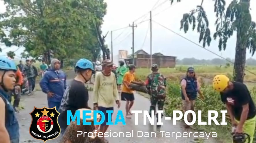 Babinsa Bantu Pembersihan Pohon Tumbang Akibat Hujan Deras dan Angin Kencang