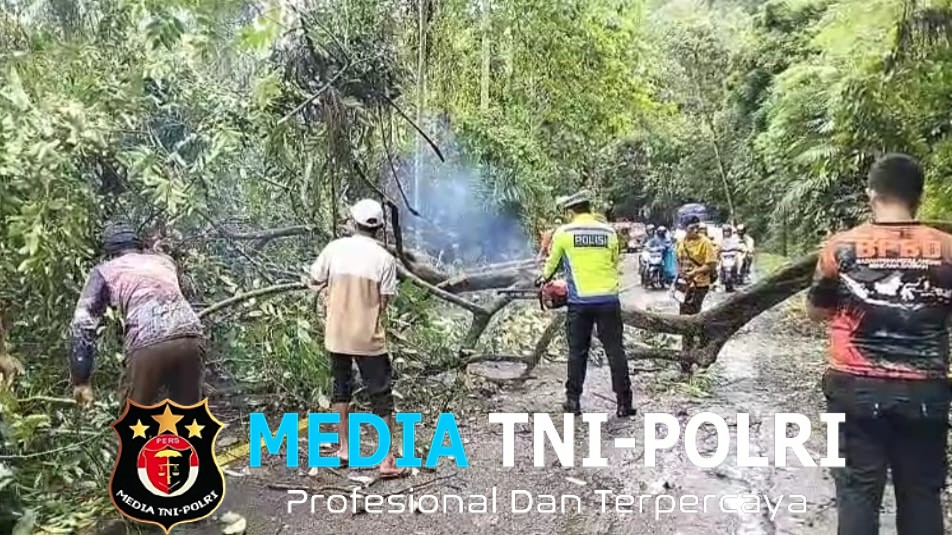 Gerak Cepat Sat Lantas Polres Tanggamus Bersihkan Pohon Tumbang di Batu Kramat