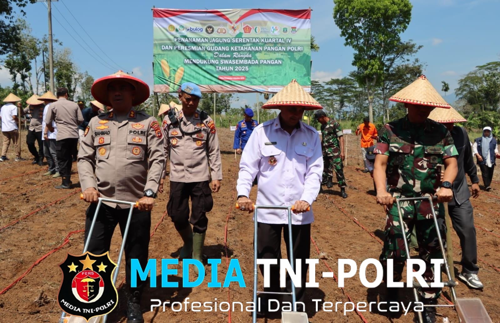Polres Tanggamus Tanam Jagung Serentak Kuartal IV, Dukung Swasembada Pangan 2025