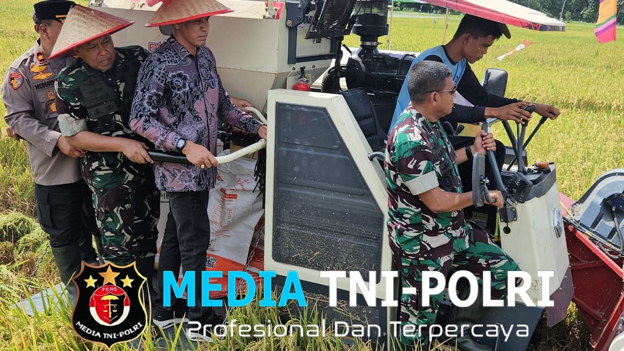 Kepala Staf Kodam Iskandar Muda Panen Raya Padi di Desa Mesjid Kecamatan Syamtalira Aron Kabupaten Aceh Utara