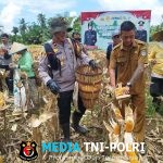 Kapolsek Ipda Paskarianto pimpin panen perdana Demplot jagung Polsek di Desa Tunang