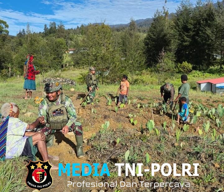 Satgas Yonif 700/WYC Ajak Warga Tanam Keladi, Wujud Nyata Kemanunggalan TNI dan Rakyat di Tanah Papua