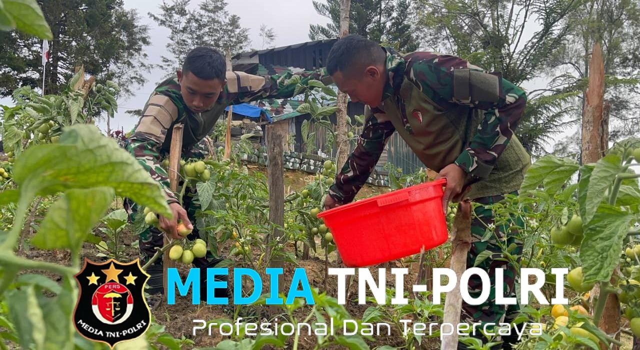 Dukung Ketahanan Pangan, Satgas Yonif 521/DY Manfaatkan Lahan Kosong di Sekitaran Pos