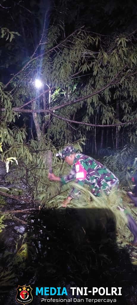 Babinsa Sertu Budi Utomo Sigap Tangani Pohon Tumbang, Akses Warga Simo Kembali Normal