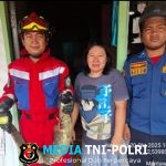 Damkar Kotim Amankan Seekor Biawak Air di Rumah Warga