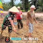 Babinsa Koramil 1015-07/Parenggean Hadiri Penanaman Jagung di Desa Sari Harapan