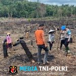 Kapolsek Mempawah Hulu Ipda Paskarianto melaksanakan penanaman jagung di Desa Sala’as