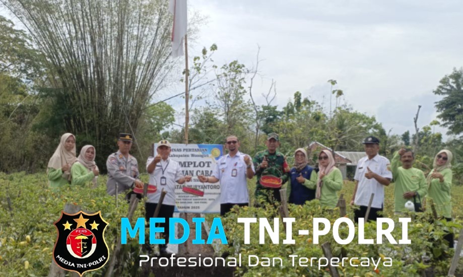 Babinsa Wuryantoro Hadiri Farm Field Day Tanaman Cabai