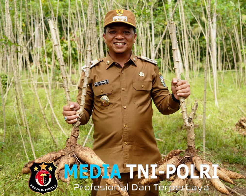 Bupati Pringsewu Riyanto Pamungkas Tinjau Potensi Mocaf di Kecamatan Adiluwih