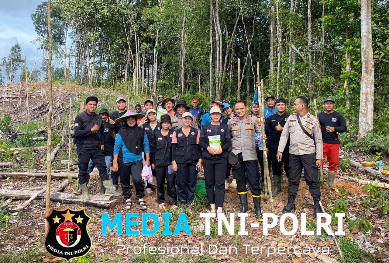 Polsek Kuala Behe Gencarkan Ketahanan Pangan Lewat Penanaman Jagung Di Demplot Polsek II