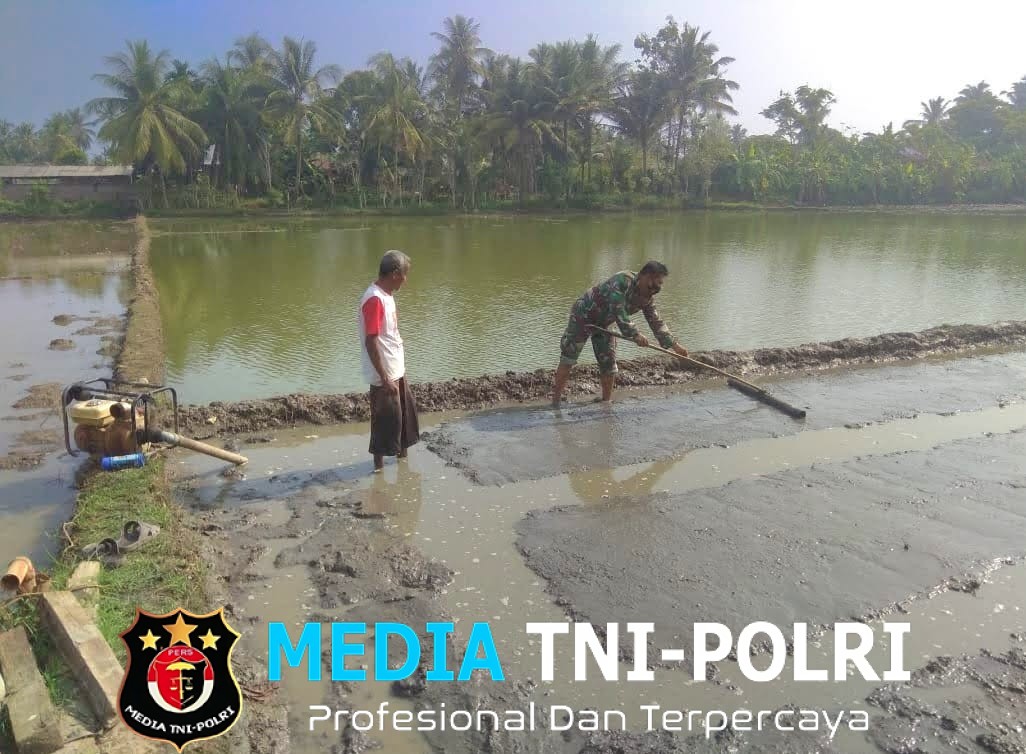 Turun ke Sawah, Babinsa Bantu Petani Penyemaian Benih Padi