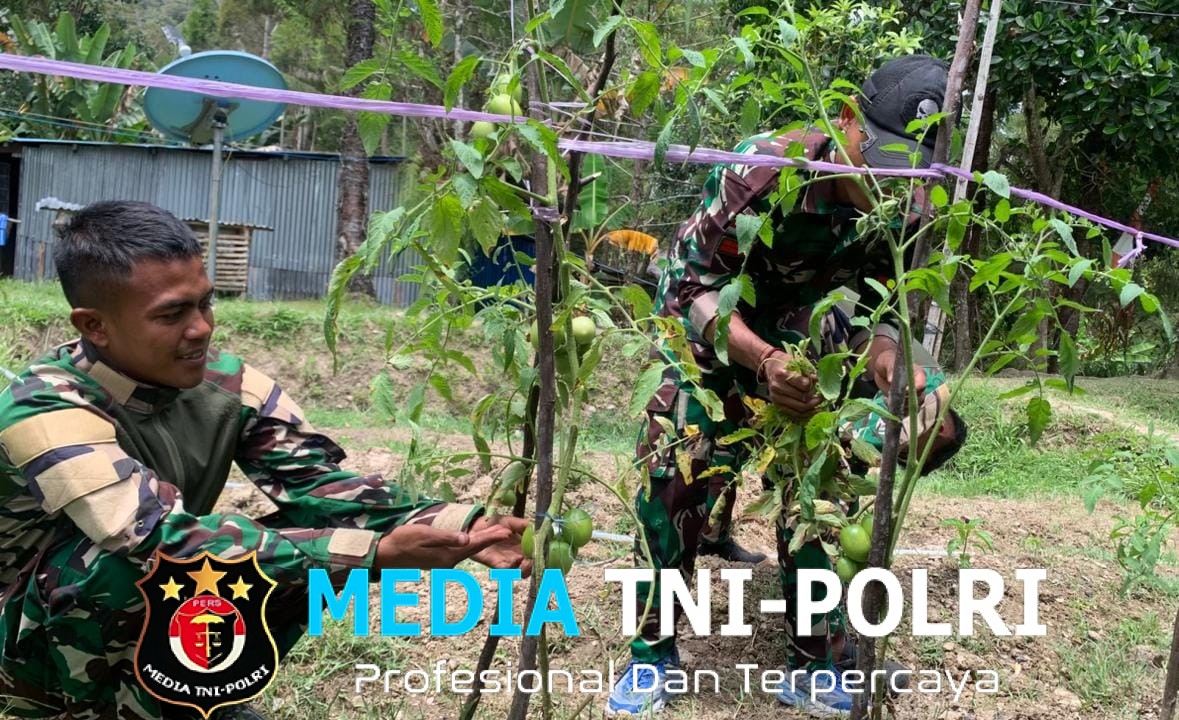 Dukung Ketahanan Pangan Nasional, Satgas Yonif 521/DY Manfaatkan Lahan Kosong di Sekitar Pos