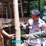 Paska Dua Kambing Diserang Beruang, Polsek Pematang Sawa dan Polhut Beri Imbauan Warga
