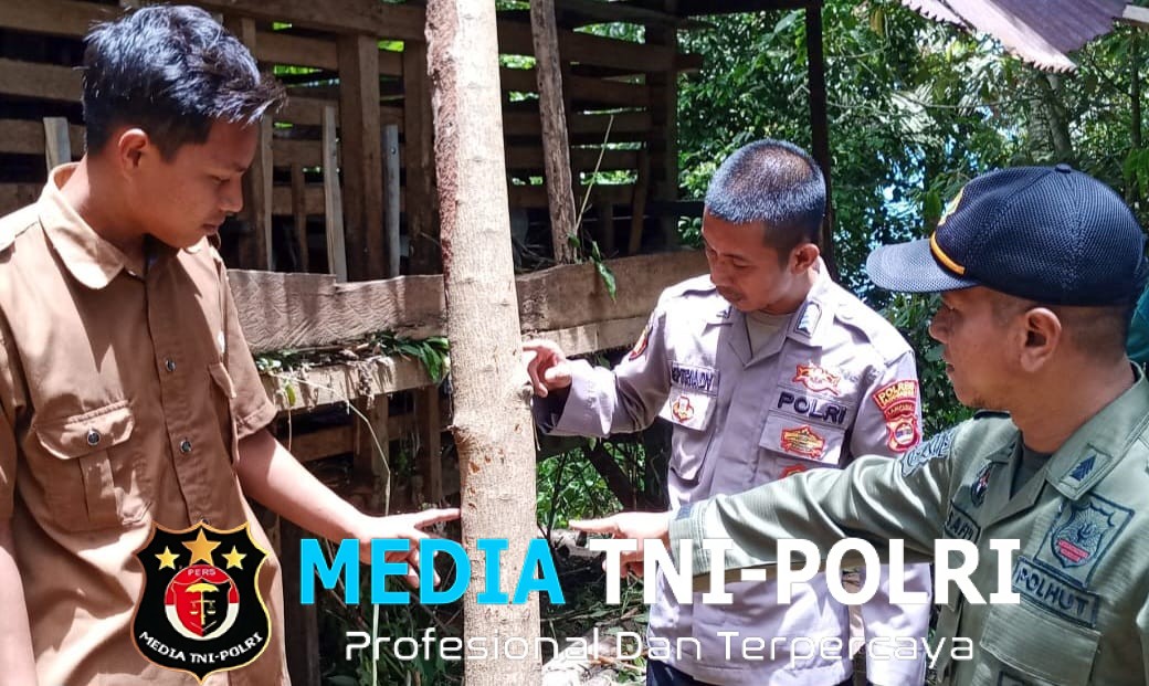Paska Dua Kambing Diserang Beruang, Polsek Pematang Sawa dan Polhut Beri Imbauan Warga