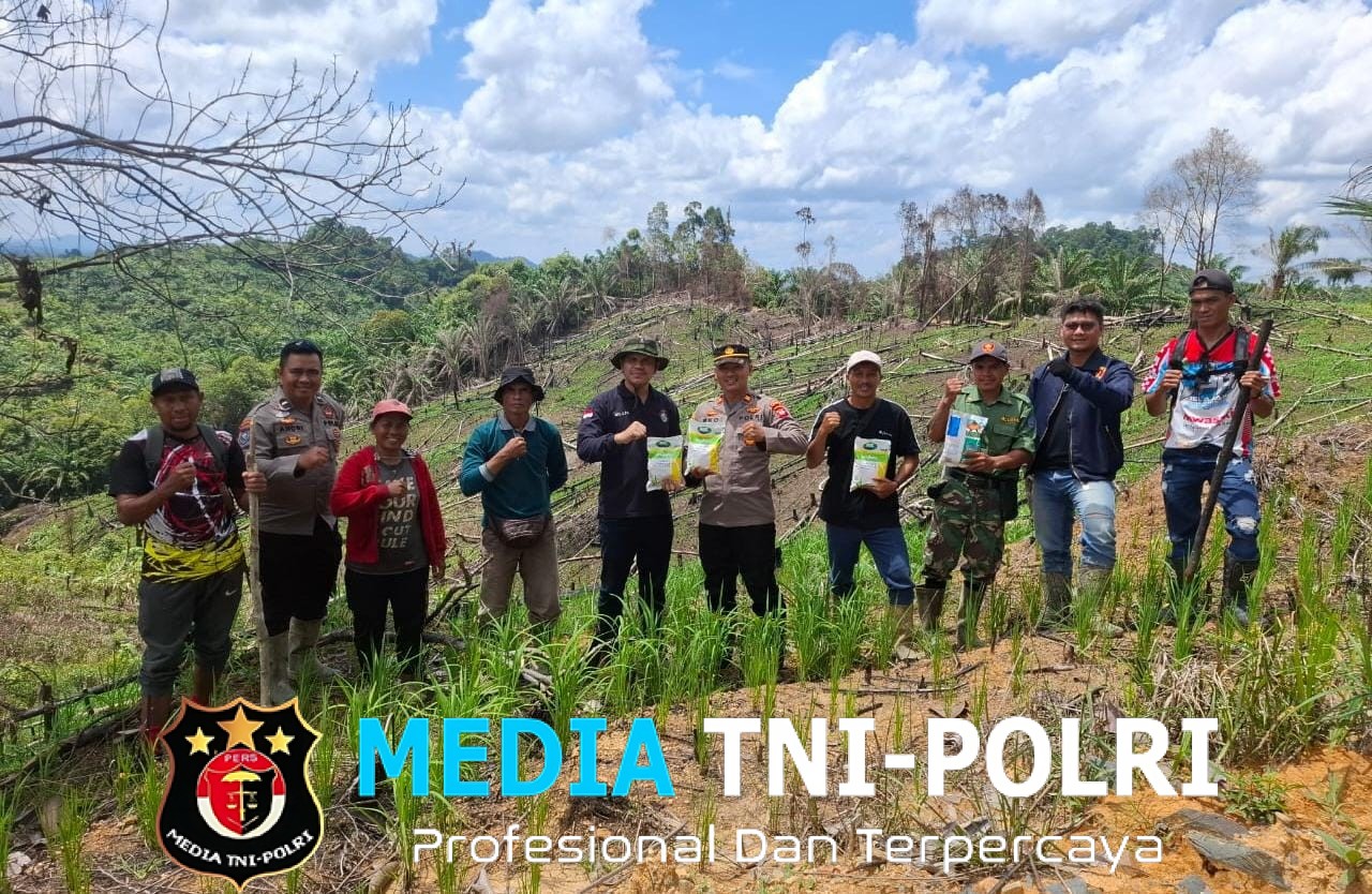 Kapolsek Kuala Behe Tanam Jagung Bersama Kades Dan Warga di Desa Sejowet Dukung Ketahanan Pangan Nasional