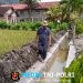 Drainase TMMD ke-126 di Lebakharjo Capai Over Prestasi, Warga Apresiasi Kinerja Satgas TNI