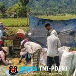 Satgas TMMD ke-126 Bantu Warga Lebakharjo Dores Padi, Wujud Nyata Kemanunggalan TNI dan Rakyat