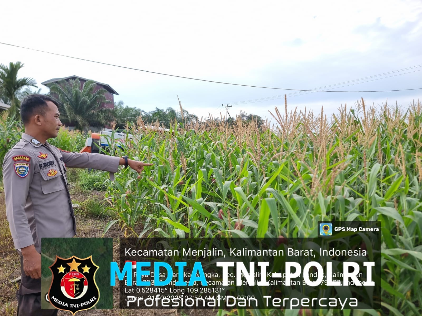 Bhabinkamtibmas Polsek Menjalin Pantau Perkembangan Program Ketahanan Pangan di Desa Tempoak