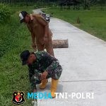 Jalan Rabat Beton TMMD di Dusun Sukomaju Rampung 100 Persen, Warga Lebakharjo Sambut Gembira