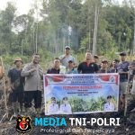 Polsek Kuala Behe Dorong Ketahanan Pangan Melalui Bhabinkamtibmas Tanam Jagung di Desa Sehe Lusur