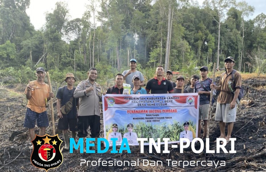 Polsek Kuala Behe Dorong Ketahanan Pangan Melalui Bhabinkamtibmas Tanam Jagung di Desa Sehe Lusur