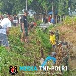 Aksi Nyata, Anggota Koramil 0808/04 Sanankulon Dan Warga Sigap Bersihkan Saluran Irigasi