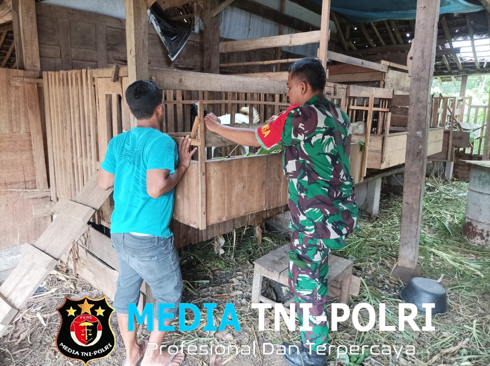 Babinsa Koramil Kemusu Dorong Peternak Kambing Tingkatkan Kebersihan Kandang dan Produktivitas