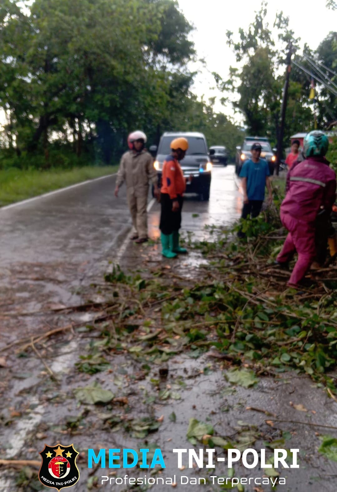 Pohon Tumbang Tutup Jalan Wonogiri–Pacitan, Polsek Nguntoronadi Sigap Evakuasi Hingga Arus Kembali Lancar