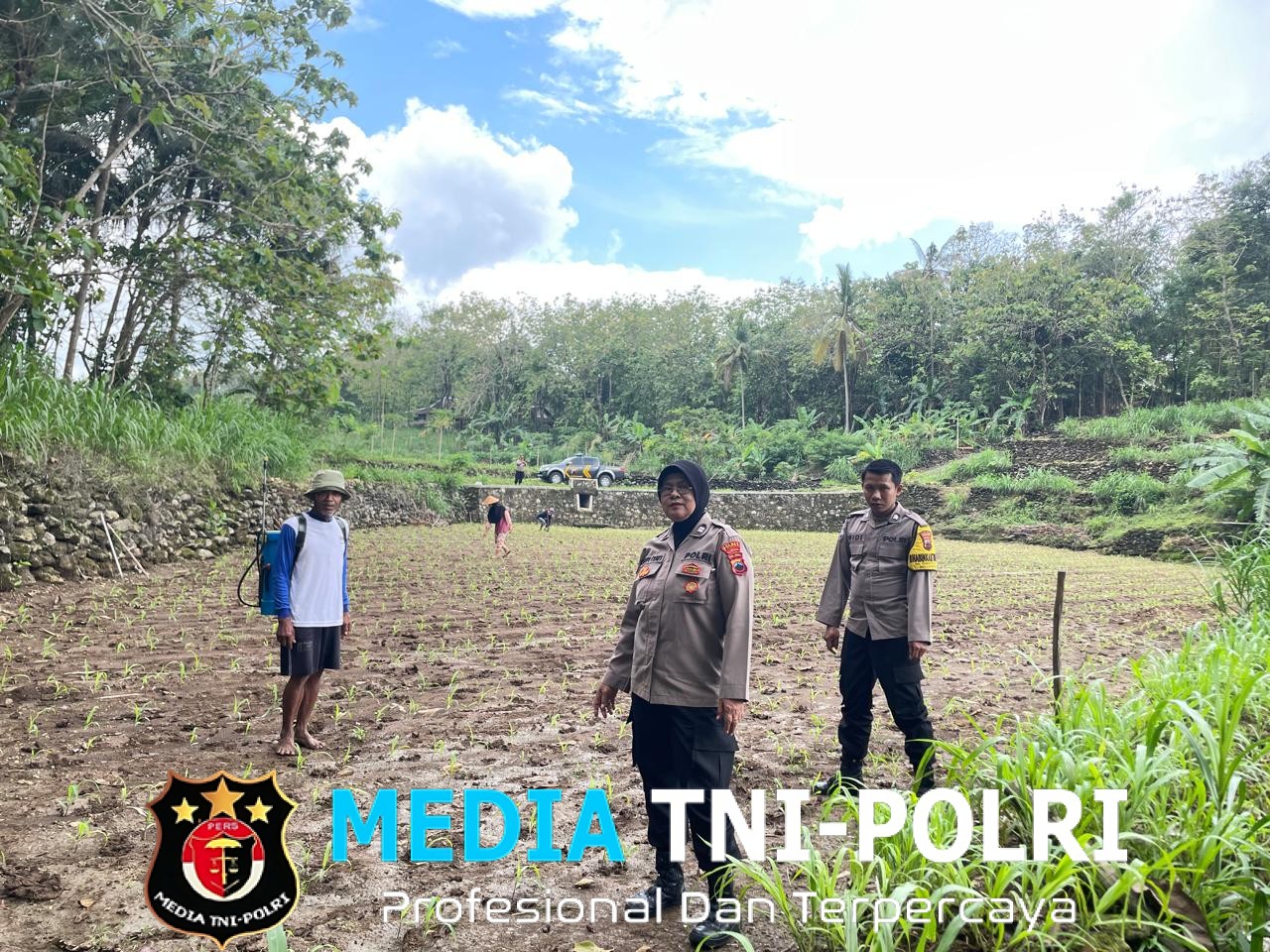 Polsek Eromoko Cek Penanaman Jagung 75 Hektare, Dukung Ketahanan Pangan Nasional