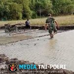 Babinsa Lakukan Pendampingan Pengolahan Lahan Sawah Untuk Persiapan Tanam