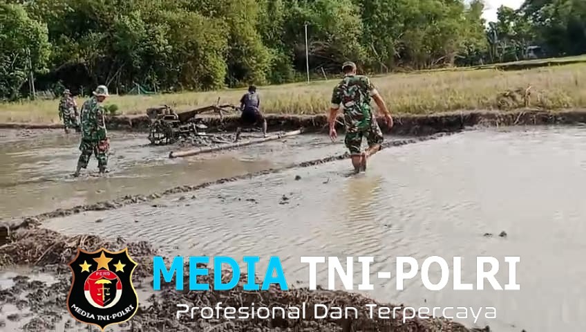 Babinsa Lakukan Pendampingan Pengolahan Lahan Sawah Untuk Persiapan Tanam