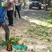 Satlantas Polres Langkat Bergerak Cepat Bersama DLH dan BPBD, Bersihkan Pohon Tumbang di Jalan Tengku Umar