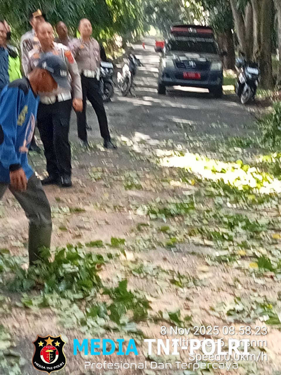 Satlantas Polres Langkat Bergerak Cepat Bersama DLH dan BPBD, Bersihkan Pohon Tumbang di Jalan Tengku Umar