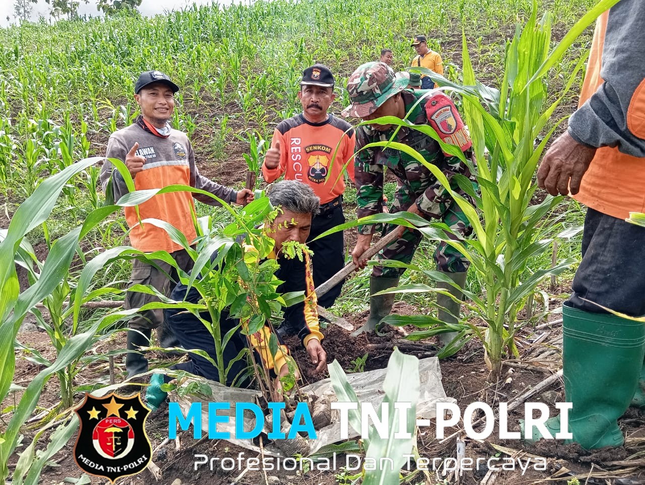 Dukung Penghijauan di Wilayah Binaan, Babinsa Desa Bumiayu Laksanakan Penanaman Pohon Bersama