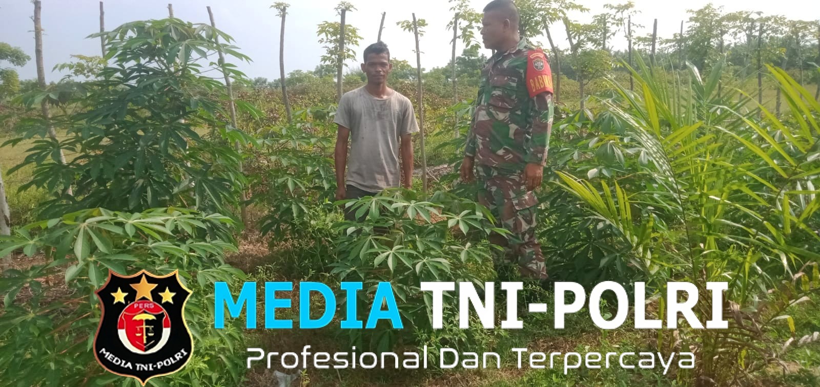 Babinsa Koramil 06/Smd Bantu Petani Cek Tanaman Daun Ubi di Samudera
