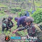 Keluarga Berkebun Satgas Yonif 521/DY Membantu Masyarakat Ketahanan Pangan di Distrik Kurima