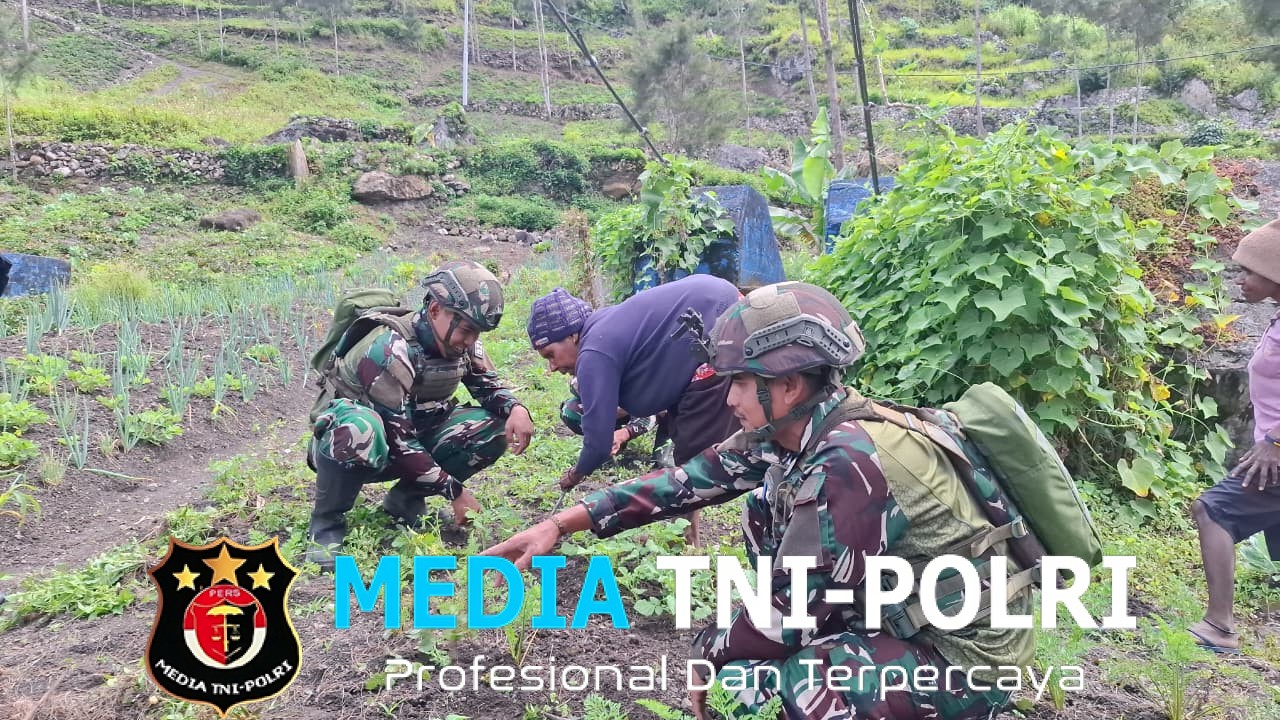 Keluarga Berkebun Satgas Yonif 521/DY Membantu Masyarakat Ketahanan Pangan di Distrik Kurima