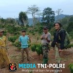 Polsek Wonosobo Identifikasi Serangan Gajah di Blok 3 Bandar Negeri Semuong