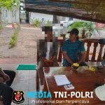 Pengembangan Kasus Berlanjut, Sat Reskrim Polres Lamtim Tangkap Penadah Bibit Nanas Curian