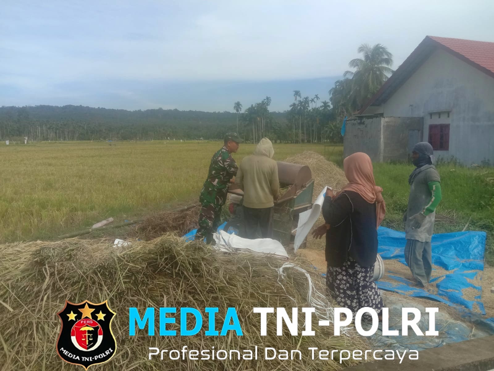 Tingkatkan Ketahanan Pangan, Babinsa Bantu Petani Perontokan Padi