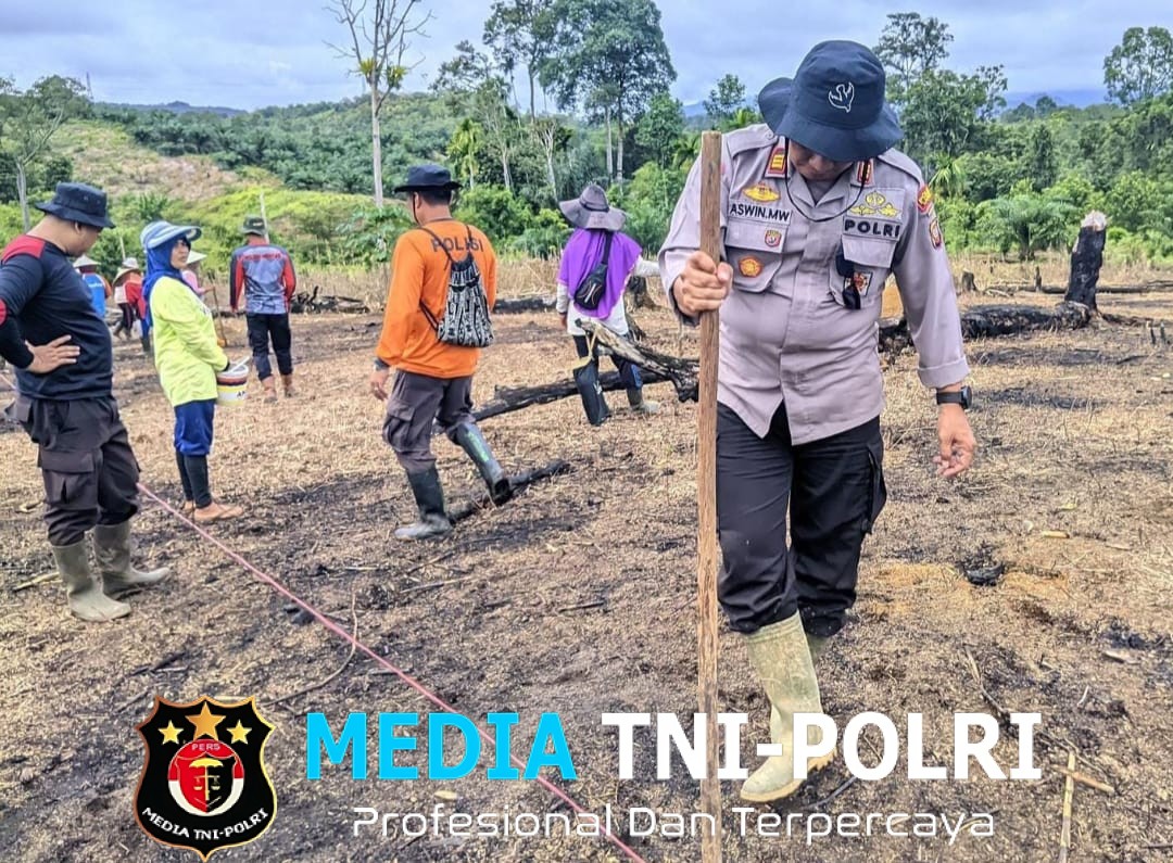 Kapolsek Menyuke Mengikuti Penanaman Jagung Di Lahan Demplot Polsek Menyuke