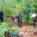 Dukung Penghijauan, Babinsa Garum Bersama Gapoktan Dan Warga Tanam Pohon Mahoni