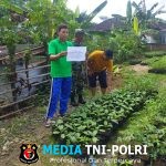 Anggota Koramil 0825/13 Singojuruh Lakukan Komsos dengan Poktan