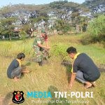 Babinsa Gotong Royong Rapikan Rumput Lapangan, Upaya Menciptakan Lingkungan yang Bersih dan Rapi