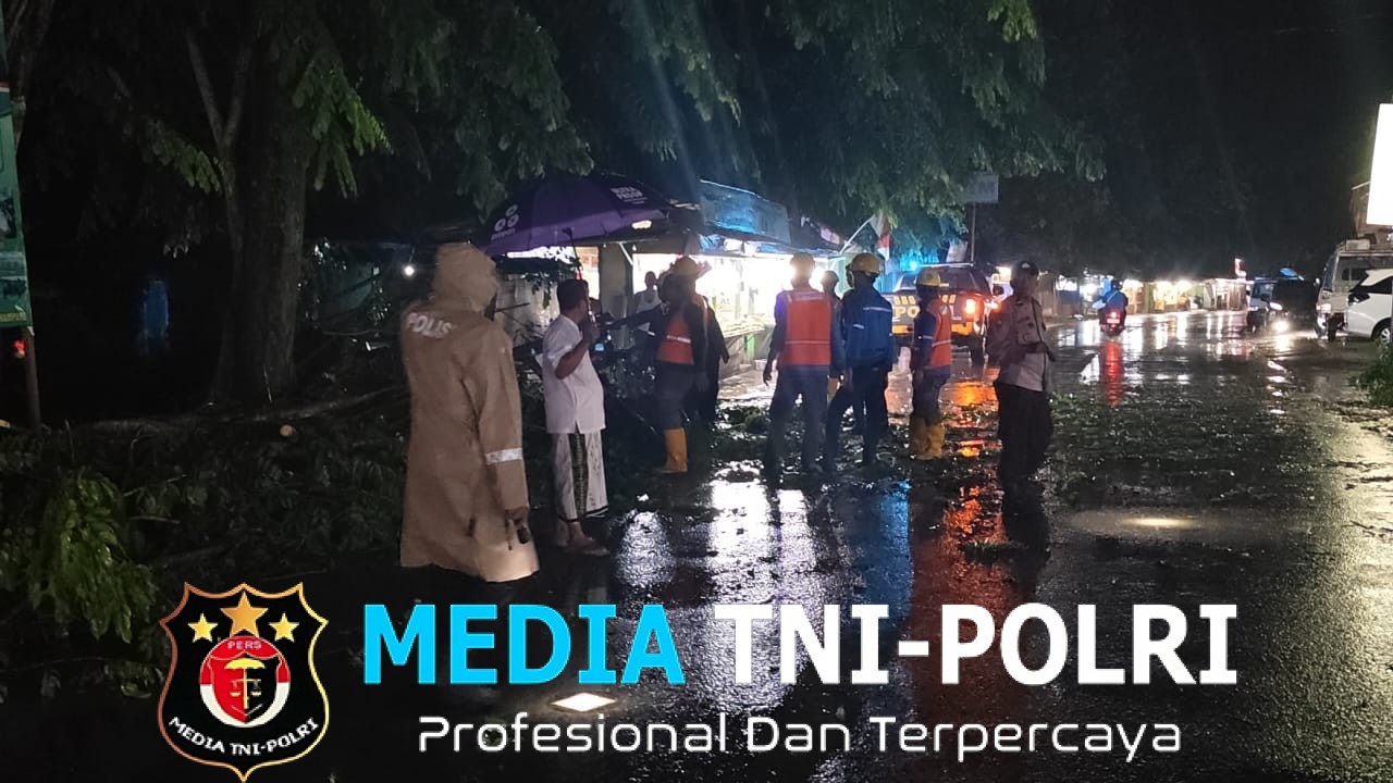 Pohon Tumbang Tutup Jalan Raya di Desa Sumber Gede Kecamatan Sekampung, Polisi Sigap Evakuasi